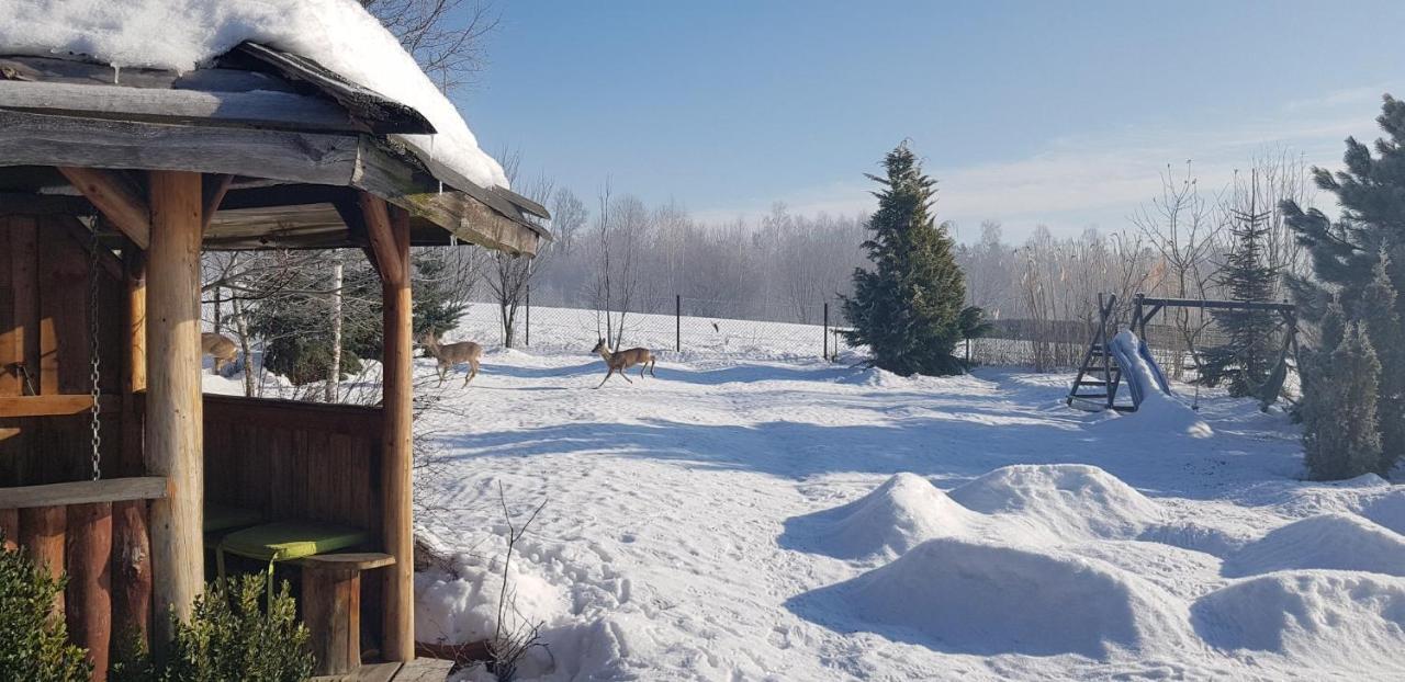 Dom Grabowa Z Sauna I Podgrzewanym Basenem Gilowice  Exterior photo